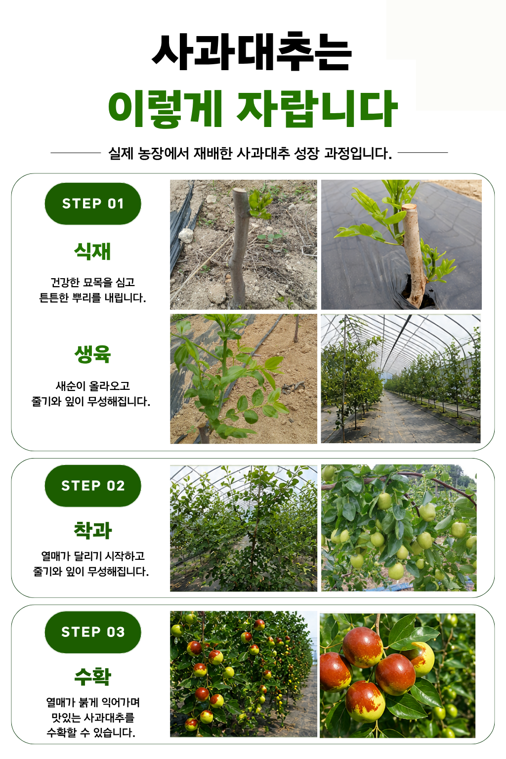 안내서 3페이지